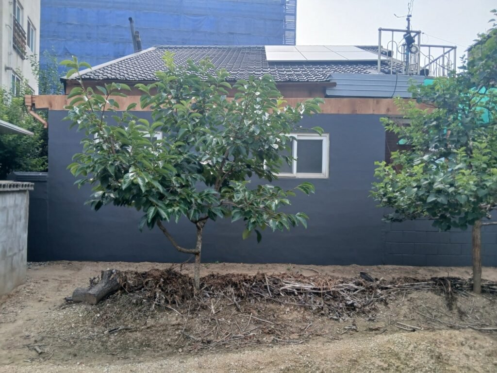 도장 작업 중인 주택 담장과 외벽